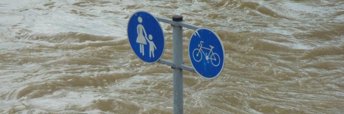 Verkehrsschilder (Fußgänger und Radfahrer) in einer Flut